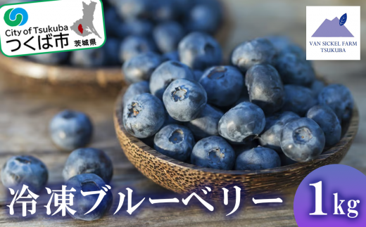 茨城県つくば市産 冷凍ブルーベリー 1kg【ブルーベリー 国産 ベリー スイーツ トッピング 栄養 ジャム 果実 果物 パンケーキ】
