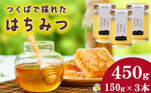 つくばで採れたはちみつ 150g × 3 本【 茨城県 つくば市 はちみつ ハチミツ 蜂蜜 蜜蜂 みつばち ミツバチ 養蜂 】