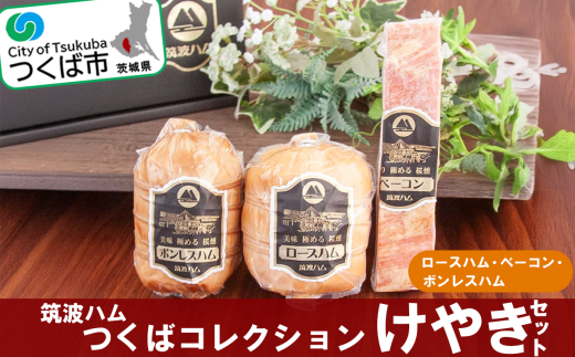 筑波ハム つくばコレクション けやきセット( ボンレスハム ベーコン ロースハム )【 豚肉 豚 ぶた肉 ポーク ハム はむ ロースハム ベーコン ボンレスハム 茨城県産 国産 つくば市 詰め合わせ お中元 お歳暮 】