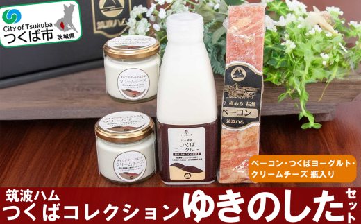 筑波ハム つくばコレクション ゆきのしたセット( ベーコン つくばヨーグルト クリームチーズ )【 豚肉 豚 ぶた肉 ポーク ベーコン 燻製 金賞 チーズ クリームチーズ ヨーグルト 茨城県産 国産 つくば市 詰め合わせ お中元 お歳暮 】