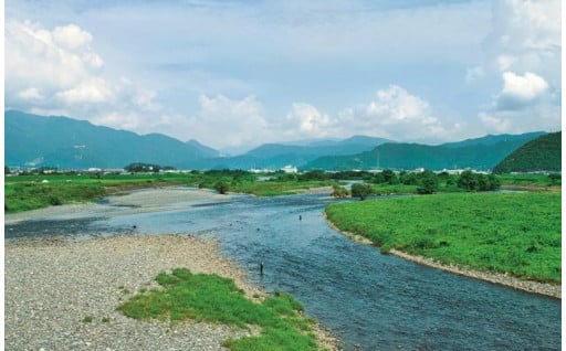 町長におまかせ