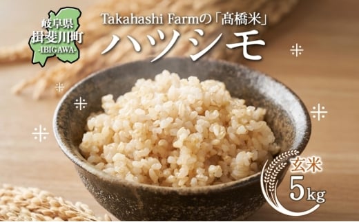 [№5568-0420]岐阜県 揖斐川町産 ハツシモ「高橋米」玄米 5kg×1袋 お米 精米 玄米 ごはん 米 ご飯 はつしも ブランド米 大粒 白米 炊飯 冷めても美味しい お弁当 冷凍保存 ライス 主食 ふっくら お取り寄せ 送料無料 岐阜県 揖斐川町