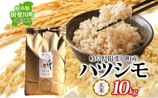 [№5568-0426]自然尊重で育てた安全な美味しい自然米ハツシモ（玄米）10kg お米 ごはん ご飯 カレー 丼物 お弁当 すし飯 冷めても美味しい はつしも ななしん米 岐阜県 揖斐川町