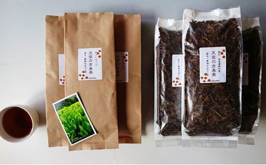 [№5568-0037]揖斐・春日の一番摘みほうじ茶詰め合わせ
