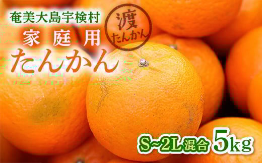 【予約・数量限定】2026年2月~出荷予定 【家庭用】奄美大島産たんかん5kg S~2Lサイズ混合  渡タンカン農園 もぎたて 旬をお届け