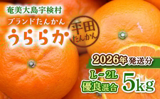【2026年1月下旬~出荷開始】 ブランド たんかん うららか (5kg) 【先行予約】L 2L サイズ 糖度10%以上 数量限定 期間限定 タンカン 果物 フルーツ 柑橘 奄美大島 宇検村 鹿児島