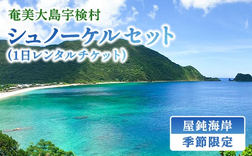 《体験》屋鈍の海でシュノーケル(1日レンタルチケット)レジャー 旅行 観光 体験 海 水泳 自然 奄美大島 宇検村 鹿児島 5000円