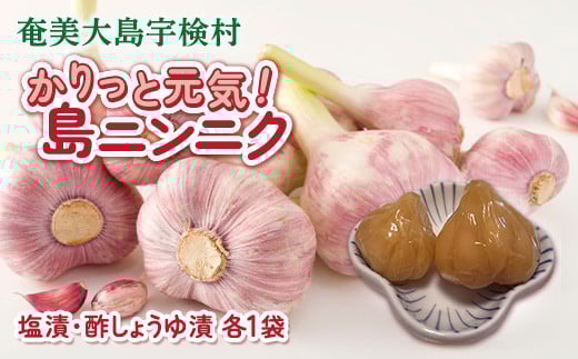 かりっと元気！島ニンニク 塩漬・酢しょうゆ漬 (各1袋) にんにく おつまみ 世界遺産登録記念 奄美大島 宇検村 鹿児島