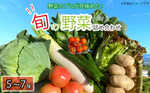 旬の野菜セット 5〜7品目 詰合せ セット 旬 新鮮 季節の野菜 野菜 やさい なすび ブロッコリー キャベツ 白菜 レタス サニーレタス ほうれん草 きゅうり ピーマン とうもろこし トマト ミニトマト 大根 絹さやえんどう インゲン豆 玉ねぎ じゃがいも すだち BBQ アウトドア ギフト プレゼント 贈答 お取り寄せ グルメ 産地直送 阿波市 徳島県 ヨコタコーポレーション