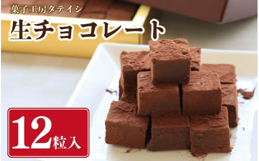 チョコレート スイーツ 生チョコ 12個 セット 冷凍 洋菓子 ケーキ デザート スイーツ 焼菓子 お菓子 おやつ 誕生日 記念日 贈答 ギフト プレゼント バレンタイン 送料無料 徳島県 阿波市 菓子工房タテイシ
