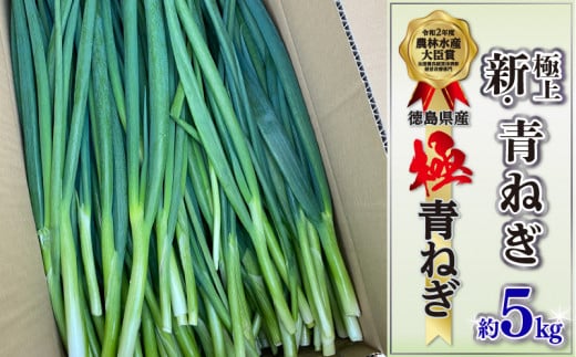 青ねぎ 5kg ネギ 葱 極上 薬味 国産 野菜 阿波市 うどん ギョーザ 餃子 チャーハン 焼きネギ 徳島 阿波市