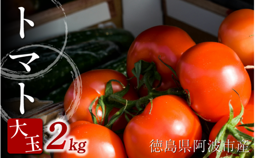【先行予約】 トマト 大玉 2kg  野菜 やさい トマト ジュース パスタ スパゲティー ソース サラダ ドレッシング サンドイッチ ハンバーガー ピザ カレー お取り寄せ グルメ 送料無料 徳島県 阿波市 ヴェリタス株式会社