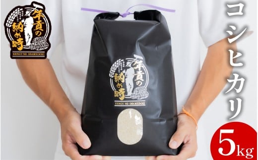 お米 コシヒカリ 選べる容量 5kg 令和7年産 新米 米 こめ ご飯 ごはん おにぎり 白米 食品 ギフト 贈答 プレゼント お取り寄せ グルメ 送料無料 徳島県 阿波市