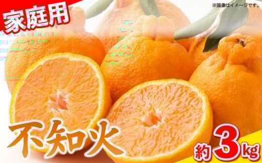 【 先行予約 】 しらぬい 不知火 3kg 家庭用 9~10個入り みかん 柑橘 サイズ不揃い 果物 フルーツ 柑橘 徳島県 阿波市 宮田農園