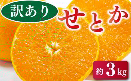 先行予約 訳あり せとか 3kg みかん 蜜柑 果物 フルーツ 柑橘 オレンジ ゼリー ジュース アイス ケーキ デザート スイーツ ジャム 糖度 甘い 不揃い 規格外 ビタミン 美容 健康 送料無料 徳島県 阿波市 半田農園