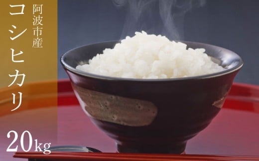 コシヒカリ 20kg 令和7年産 米 こめ ご飯 ごはん おにぎり 白米 精米 新米 卵かけご飯 食品 備蓄 備蓄米 保存 防災 もち米 ギフト 贈答 プレゼント お取り寄せ グルメ 送料無料 徳島県 阿波市 栗栖農園
