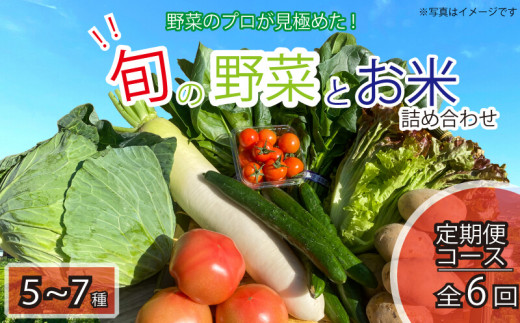 定期便 年6回 野菜 5～7品目 米 5kg 詰め合わせ セット 旬 新鮮 季節の野菜 なすび ブロッコリー キャベツ 白菜 レタス サニーレタス ほうれん草 きゅうり ピーマン とうもろこし トマト ミニトマト 大根 絹さやえんどう インゲン豆 玉ねぎ じゃがいも すだち 阿波市 徳島県