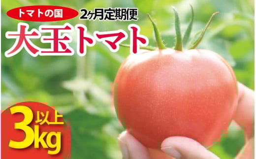 【 先行予約 】 トマト 大玉 3kg 定期便 2回 大玉トマト サラダ トマトの国 野菜 やさい トマト 薄皮 完熟 高糖度 果物 スイーツ ジュース パスタ スパゲティー ソース サラダ ドレッシング 鍋 サンドイッチ ハンバーガー ピザ カレー ギフト 贈答 プレゼント お取り寄せ グルメ 送料無料 徳島県 阿波市