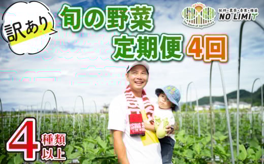 定期便 4回 訳あり 野菜 4～6種 詰合せ セット 旬野菜 やさい レタス グリーンリーフ サニーレタス ロメインレタス キャベツ 赤キャベツ 大根 ニラ スナップエンドウ さやえんどう 人参 玉ねぎ ゴーヤ オクラ 茄子 白茄子 生姜 青ネギ 農家直送 産地直送 新鮮 旬 おかず 弁当 日用 惣菜 不揃い 規格外 冷蔵 お取り寄せ 徳島県 阿波市 NO LIMIT