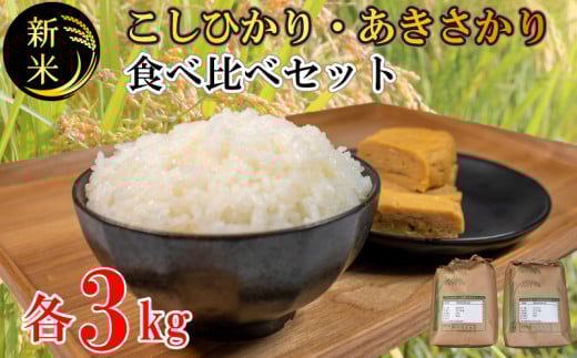 米 お米 こしひかり 食べ比べ セット(こしひかり 3kg・あきさかり3kg) 精米済み 無洗米 令和6年産 国産 徳島県 阿波市 須見商店