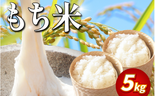 【 5kg 】米 もち米 5kg 新米 令和7年産 餅 赤飯 おはぎ 備蓄 備蓄米 保存 防災 災害 おこわ 雑煮 大福 あられ イベント 餅つき 先行予約 阿波市 徳島県
