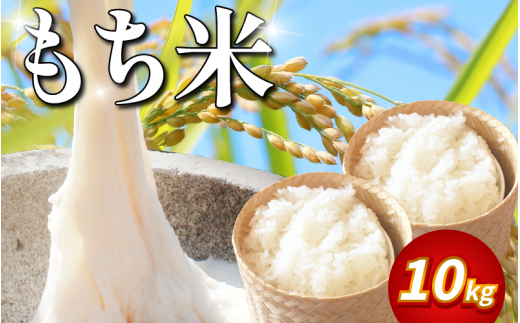 【 10kg 】米 もち米 10kg 新米 令和7年産 餅 赤飯 おはぎ 備蓄 備蓄米 保存 防災 災害 おこわ 雑煮 大福 あられ イベント 餅つき 先行予約 阿波市 徳島県