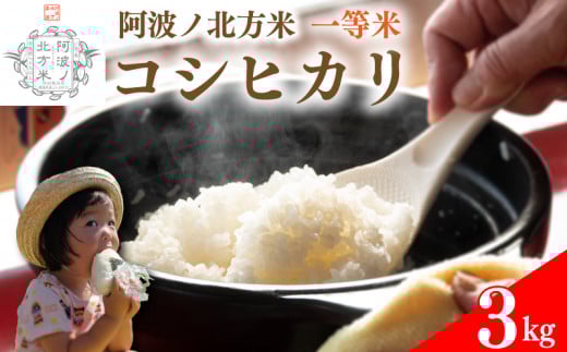 【 単品 3kg 】 コシヒカリ 令和7年産 阿波ノ北方米 1等 米 こめ ご飯 ごはん おにぎり 白米 精米 卵かけご飯 食品 備蓄 備蓄米 保存 防災 ギフト 贈答 プレゼント お取り寄せ グルメ 送料無料 徳島県 阿波市 阿波ノ北方農園