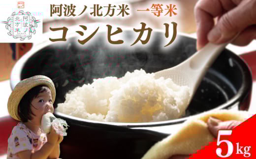【 単品 5kg 】コシヒカリ 令和7年産 阿波ノ北方米 1等 米 こめ ご飯 ごはん おにぎり 白米 精米 卵かけご飯 食品 備蓄 備蓄米 保存 防災 ギフト 贈答 プレゼント お取り寄せ グルメ 送料無料 徳島県 阿波市 阿波ノ北方農園