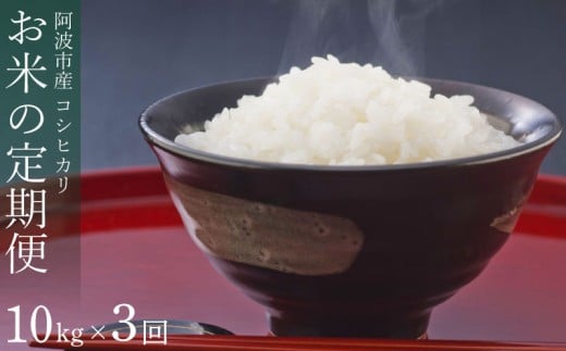 定期便 3回 米 コシヒカリ 10kg 令和7年産 米 こめ ご飯 ごはん おにぎり 白米 精米 卵かけご飯 食品 備蓄 備蓄米 保存 防災 ギフト 贈答 プレゼント お取り寄せ グルメ 送料無料 徳島県 阿波市 栗栖農園