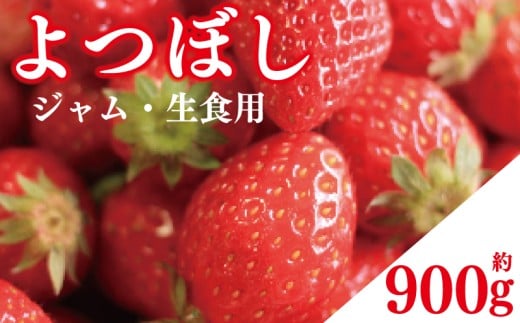 先行予約 訳あり いちご よつぼし 900g ジャム用 加工用 果物 フルーツ 苺 ストロベリー ケーキ アイス シャーベット ジェラート ゼリー ジュース ジャム スムージー 洋菓子 和菓子 お菓子 おやつ フルーツサンド フルーツ大福 苺大福 不揃い 規格外 家庭用 人気 オススメ お取り寄せ グルメ 徳島県 阿波市 チタチタストロベリーファーム