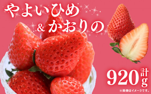 先行予約 訳あり いちご やよいひめ かおりの 2種セット 920g 苺 ストロベリー 果物 フルーツ ケーキ ゼリー ジュース アイス シャーベット チョコ フルーツサンド いちご大福 大福 洋菓子 和菓子 スイーツ デザート ジャム 不揃い 規格外 家庭用 甘い 人気 おすすめ お取り寄せ グルメ 徳島県 阿波市 Berry Mate Farm