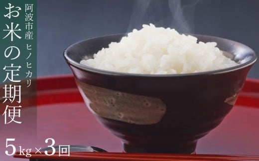 定期便 3回 米 ヒノヒカリ 5kg 令和7年産 米 こめ ご飯 ごはん おにぎり 白米 精米 新米 卵かけご飯 食品 備蓄 備蓄米 保存 防災 ギフト 贈答 プレゼント お取り寄せ グルメ 送料無料 徳島県 阿波市 栗栖農園