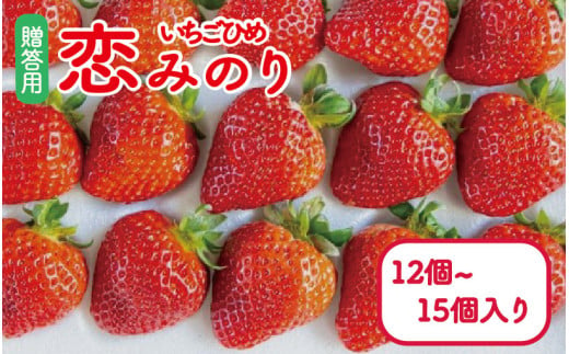 いちご 恋みのり 12〜15個 いちごひめ 大粒 贈答用 果物 フルーツ 苺 ストロベリー ケーキ アイス タルト ジュース ゼリー ジェラート シャーベット ジャム スムージー 洋菓子 和菓子 フルーツサンド フルーツ大福 いちご大福 プレゼント ギフト 贈答 お取り寄せ グルメ 送料無料 徳島県 阿波市 御所の郷