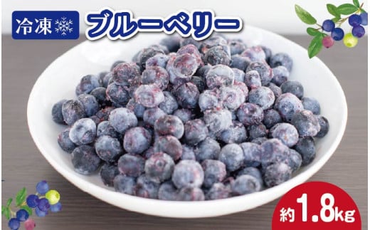 冷凍 ブルーベリー 約1.8kg フルーツ 国産 果物 大粒 甘い 糖度 ジャム ジュース ケーキ ゼリー スムージー ヨーグルト 洋菓子 お菓子 焼菓子 おやつ デザート スイーツ ポリフェノール アントシアニン 美容 健康 ギフト 贈答 プレゼント お取り寄せ グルメ 送料無料 徳島県 阿波市 AWABlueberryファーム