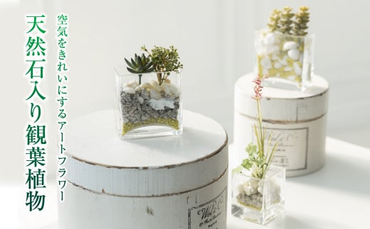 [空気をきれいにするアートフラワー]天然石入り観葉植物 インテリア 空気清浄 浄化 除菌 消臭 花 フラワー インテリア オブジェ ギフト プレゼント 贈り物 記念日 あとりえヒロ 岩手県 北上市
