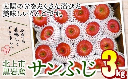 りんご サンふじ 約 3kg   11月から発送予定 フジ さんふじ 贈答 お歳暮 ギフト 冬の贈り物 プレゼント 厳選 甘い 冬 果物 フルーツ おやつ 家庭 贈答 のし  季節 リンゴ 林檎 くろいわ産直  岩手県 北上市 D0542 国産 フルーツ 林檎 アップル