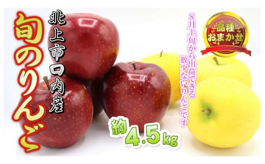 予約受付 8月上旬~発送予定 【 品種おまかせ 】りんご 約 4.5kg セット 北上市/口内産 りんご 果物 フルーツ おやつ お土産 お歳暮 お中元 お祝い 子供 ファミリー 家庭 金成園 岩手県 北上市 C0063