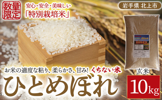 【 令和7年産 新米 10月中旬発送開始予定 】北上産 くちない米( 特別栽培米 ひとめぼれ 玄米 )10kg 岩手県 北上市 F0143 国産 東北 岩手 米 お米 ご飯 こめ 10キロ 2025年 R7年 産直 あぐり夢くちない