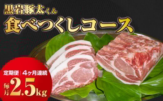 [定期便 / 4ヶ月]豚肉 セット 黒岩豚太くん 食べつくしコース 毎月 約2.5キロ 岩手県 北上市 N0073 小分け 真空パック お歳暮 お中元 ギフト 栄養豊富 ビタミンB 四元豚 希少豚 お米育ち豚 ありすポーク 国産 日本産 国内産 おせち お正月 くろいわ 黒岩 とんた トンタ しゃぶしゃぶ 焼肉 BBQ バーベキュー 定期 毎月 お届け