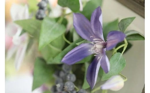 [空気をキレイにするお花]クレマチスの壁掛け フラワーアレンジメント