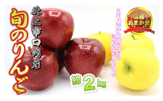 予約受付 8月上旬~発送予定 【 品種おまかせ 】りんご 約 2kg セット  北上市/口内産  りんご 果物 フルーツ おやつ お土産 お歳暮 お中元 お祝い 子供 ファミリー 家庭 金成園 岩手県 北上市 A0170