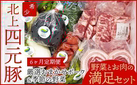 6ヶ月 定期便 四元豚 厳選カット肉と季節のうるおい野菜セット GIFTON お歳暮 お中元 ギフト プレゼント 母の日 父の日 誕生日 お祝い 卒業祝い 入学祝い バーベキュー BBQ 焼肉 ファミリー パーティー 子供会 肉 カット肉 肉 セット 旬の野菜 季節の野菜 豚肉 ぶた肉 ロース バラ 肩ロース モモ肉 ひき肉 バラ肉 スライス  岩手県 北上市 ごえん 株式会社 O0038