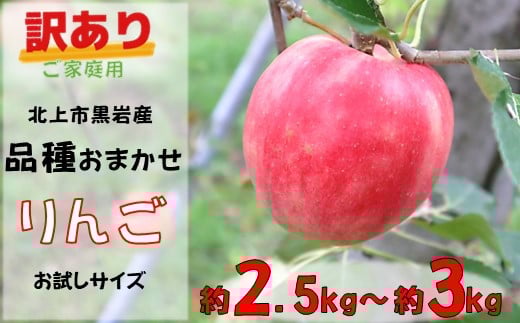 訳あり りんご 約 2.5kg ~約 3kg ( 品種おまかせ )季節のりんご 旬のりんご リンゴ お試し 家庭用  品種 おまかせ サンフジ ジョナゴールド 早生ふじ シナノゴールド 岩手県 北上市 C0605 国産 フルーツ 林檎 アップル 詰合せ セット