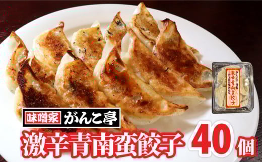 手作り 餃子 『激辛』青南蛮餃子 40個 たれ付 ラーメン 屋が作る 手作り餃子 岩手 味噌屋がんこ亭 岩手県 北上市 D0366 冷凍 豚肉 ギョーザ おかず 総菜 おつまみ 中華 お取り寄せ 焼き餃子 タレ付き 地産地消 ※12/25までの決済で 年内発送 可能