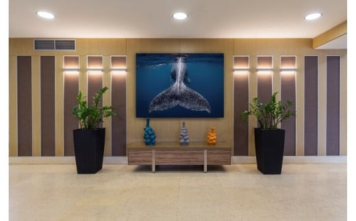 水中写真家 高橋怜子 全倍写真パネル 高橋怜子 海の絶景  ジオグラフィック写真コンテスト  ナショナルジオグラフィック 総合グランプリ受賞 壁掛け フォト インテリア Reiko Takahashi photography 海 写真作品 水中 世界 海洋 写真ギフト 写真パネル プレゼント  岩手県 北上市 Y0038