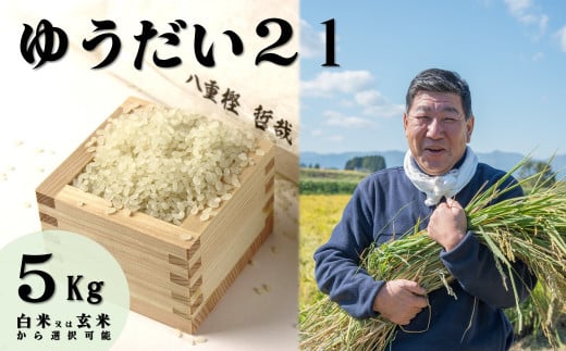 [予約受付!令和7年産 新米 ] 九代目 八重樫哲哉 作 ゆうだい21 5kg 岩手県 北上市 G0209 米 白米 精米 新米 玄米 2025年産 2025年 R7年 令和7年 新米 やえがしてつや 八重樫哲哉 農家直送 生産者直送 直送