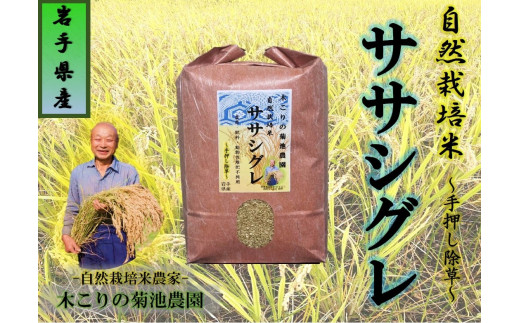 令和7年産予約受付[数量限定]木こりの菊池農園 自然栽培米[ササシグレ]10kg 玄米 新米 米 希少 ご飯 ごはん おにぎり お米 炊きたて 岩手県 北上市