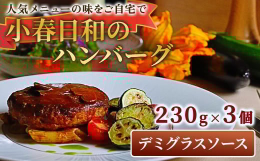 小春日和 ハンバーグ(デミグラスソース)3個セット 国産 牛肉 冷凍 調理済み お手軽 レンジ 岩手県 北上市 C0545 デミハンバーグ 惣菜 夕食 おかず シェフ 手作り