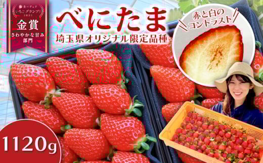 【事前受付】いちご べにたま 1.12kg (280g×4P) 苺 イチゴ ストロベリー 期間限定 新鮮 朝どれ 採れたて 金賞受賞 オリジナル品種 ブランド苺 産地直送 ご当地 果物 くだもの フルーツ デザート 食品 冷蔵 送料無料 ふるさと納税 げんき農場 埼玉県 羽生市