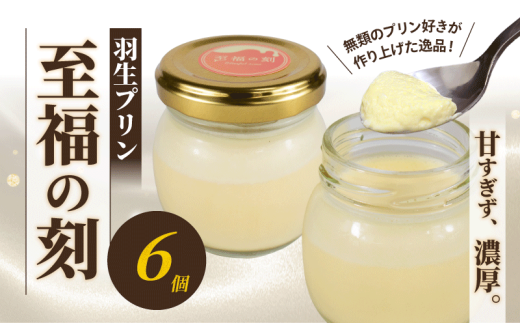 プリン 6個 セット 至福の刻 小瓶入り 冷凍 おしゃれ スイーツ デザート おやつ 洋菓子 ギフト 贈り物 土産 プレゼント 子供 新鮮 羽生プリン 埼玉県 羽生市